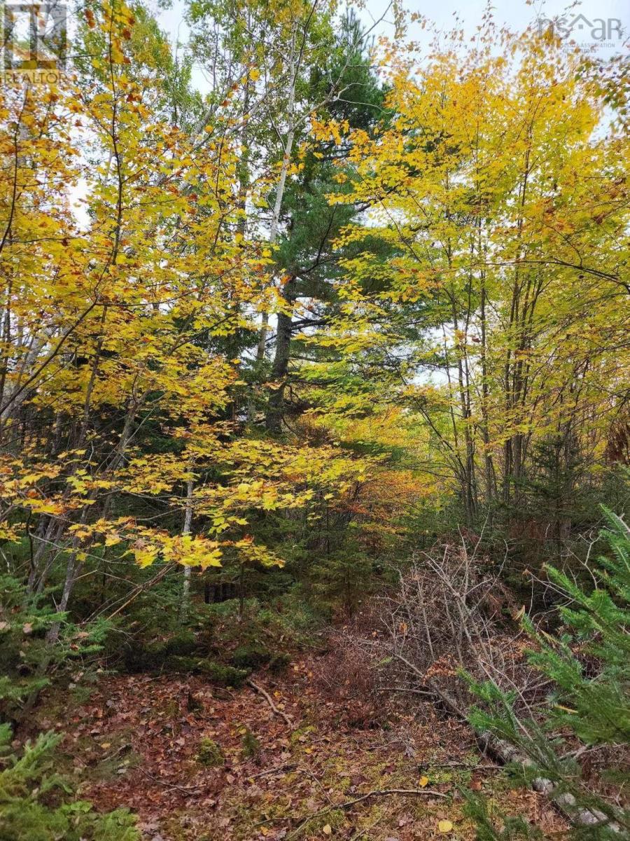Lot 3b Highway 4 Property Photo 10