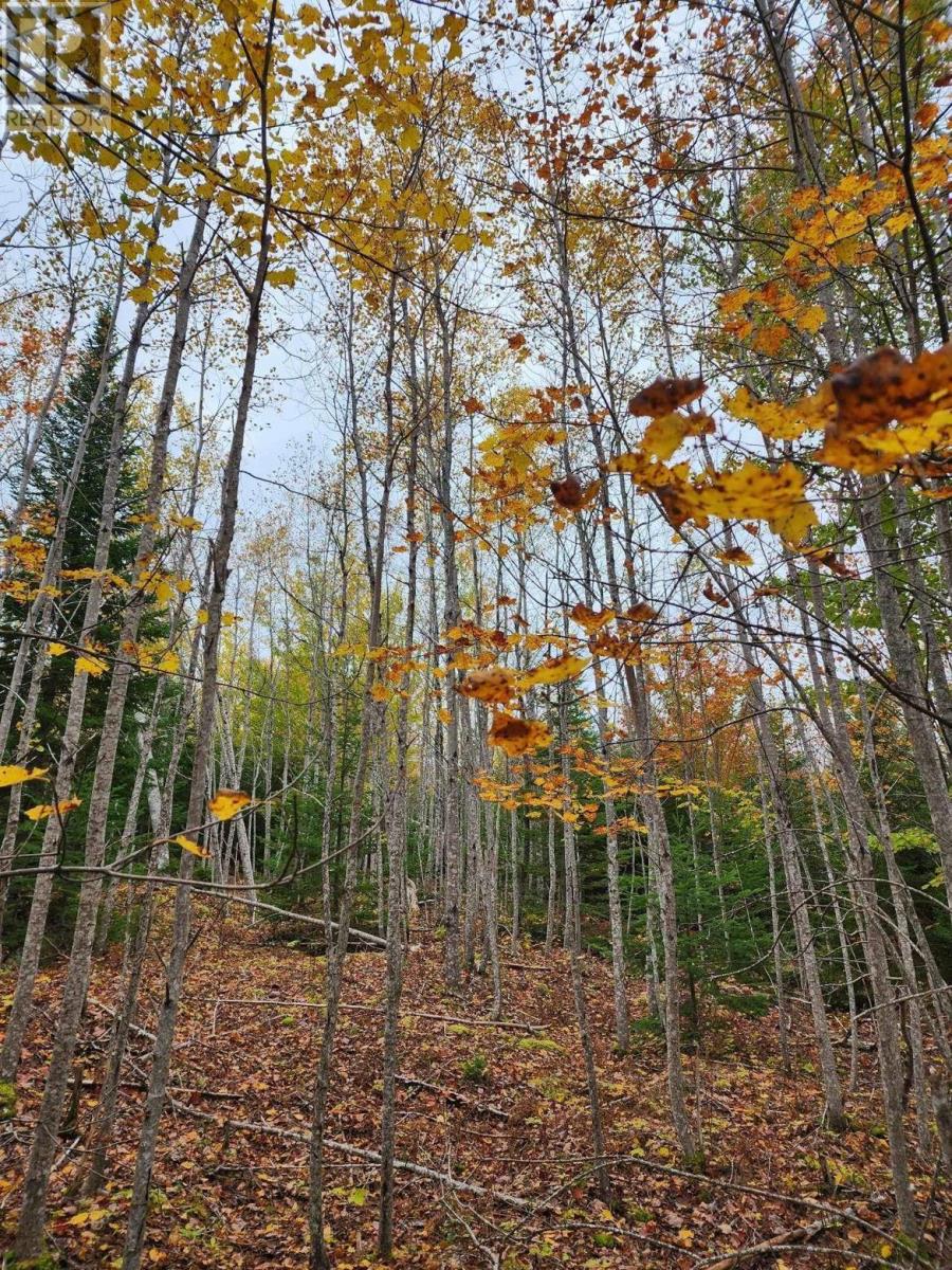Lot 3b Highway 4 Property Photo 11