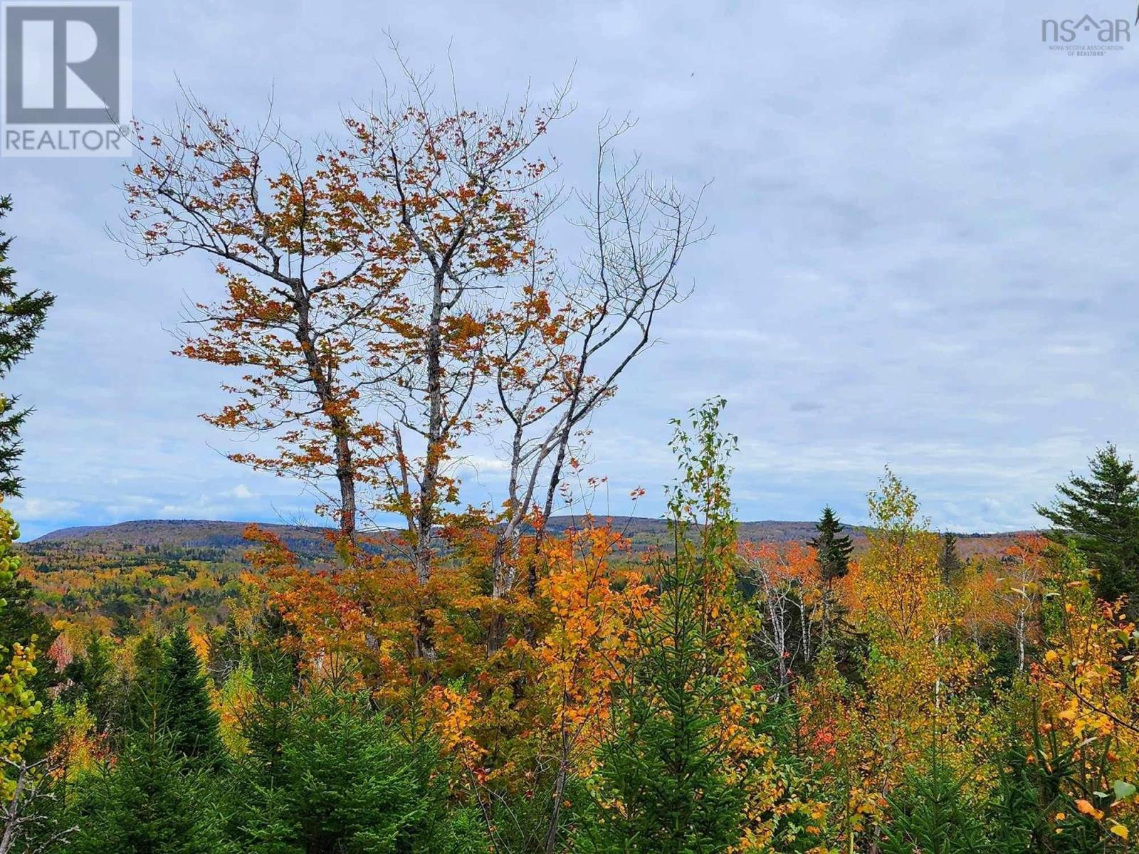Lot 3b Highway 4 Property Photo 15