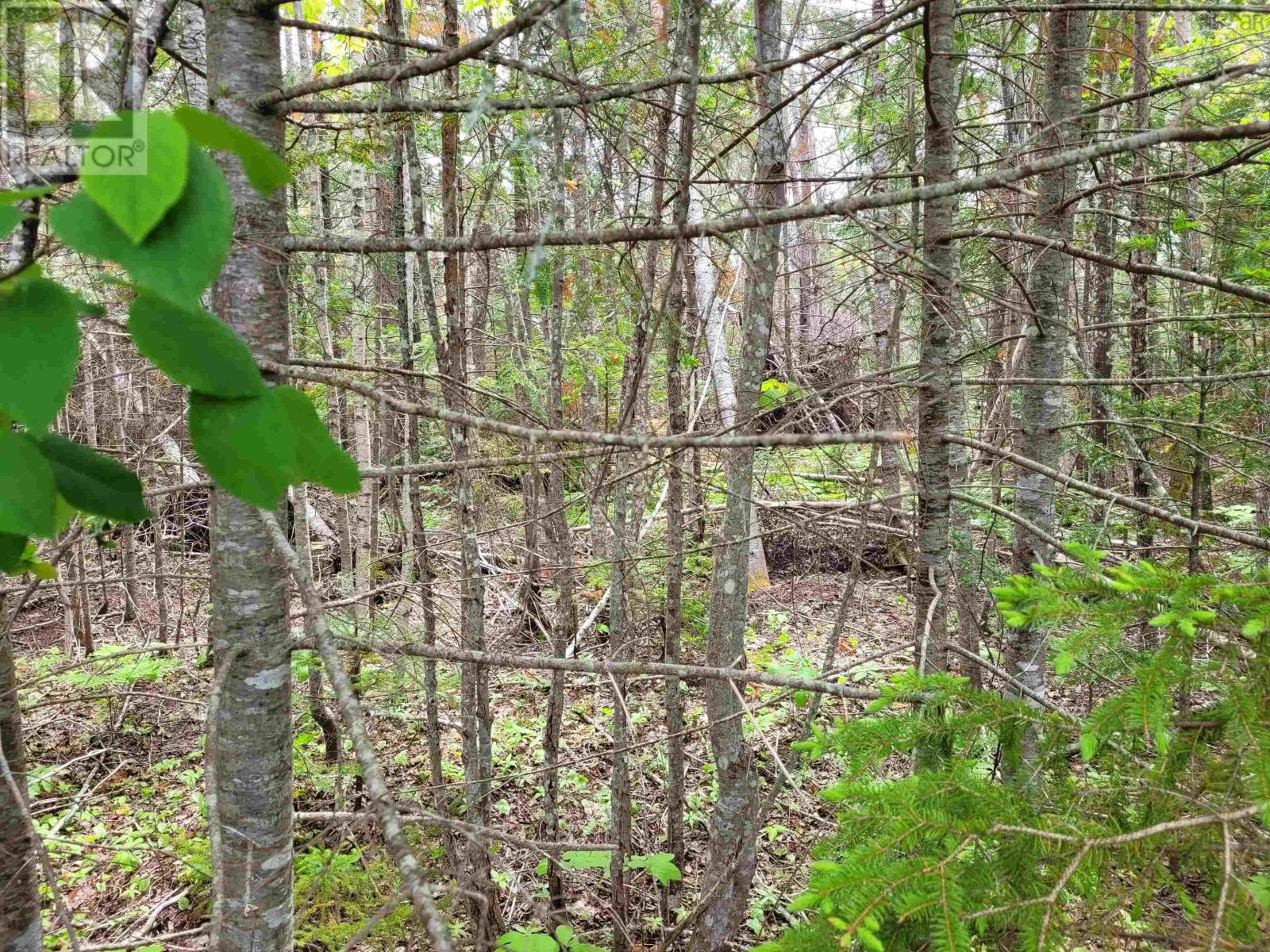 Lot 2 Tattrie Settlement Road Property Photo 3