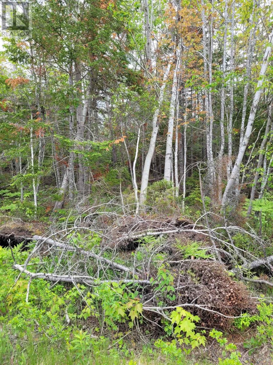 Lot 2 Tattrie Settlement Road Property Photo 5