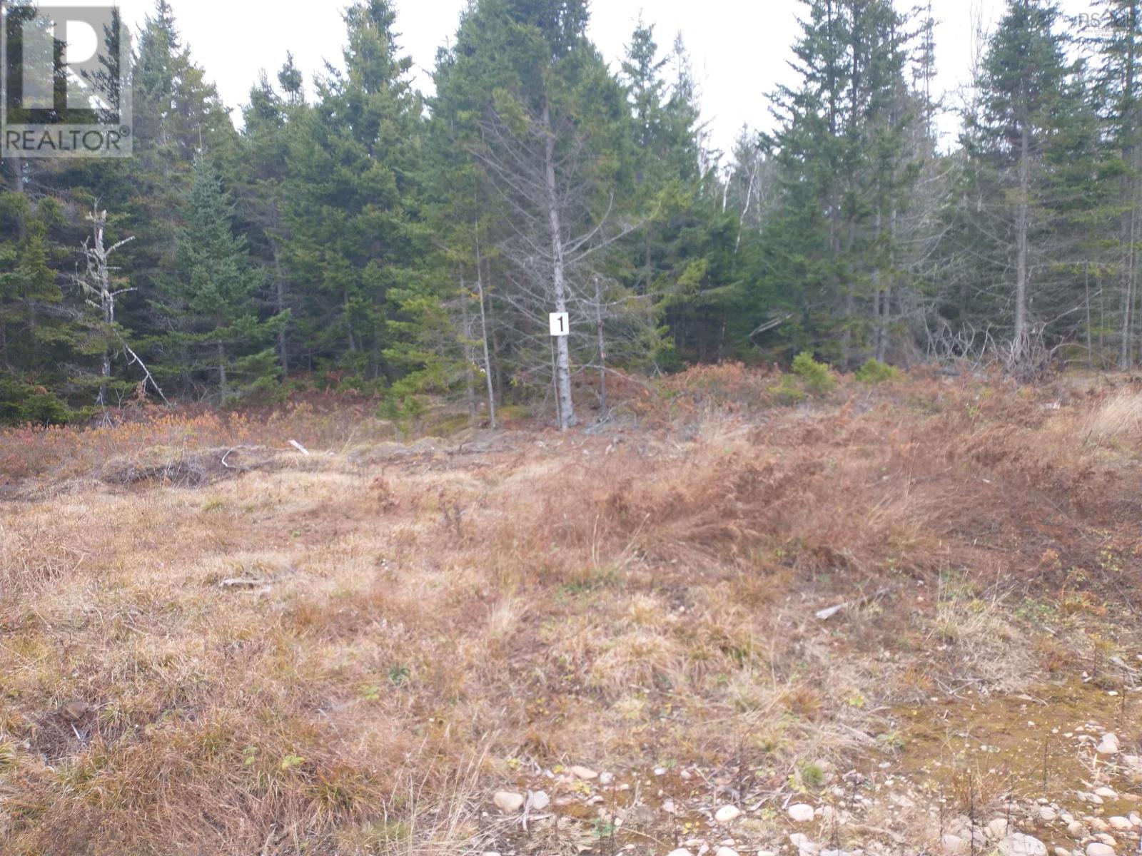 LOT 1 DANCE HALL Lane Property Photo 1