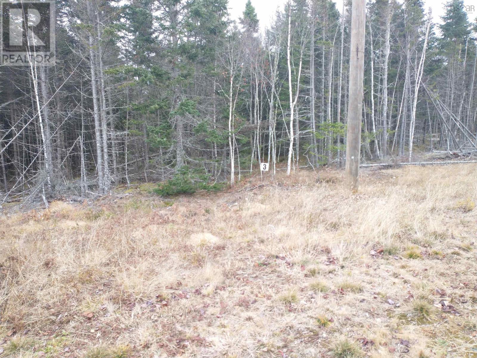 LOT 3 DANCE HALL Lane Property Photo 1