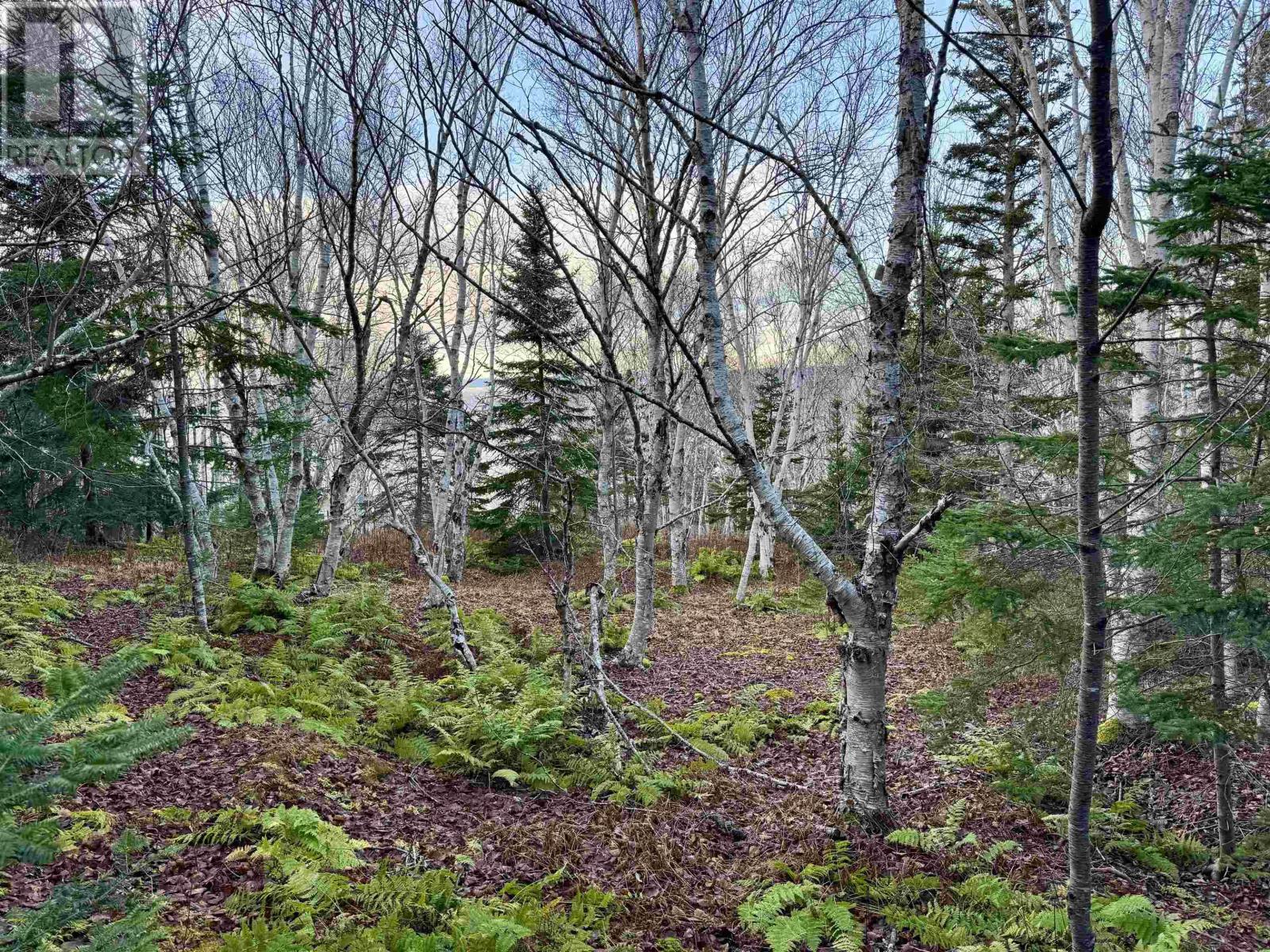 Lot Highway 104 Property Photo 5