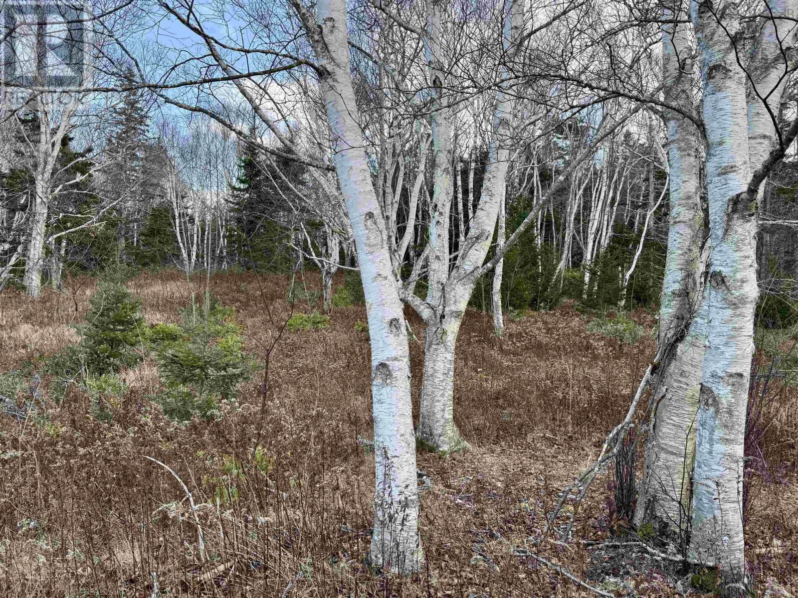 Lot Highway 104 Property Photo 14