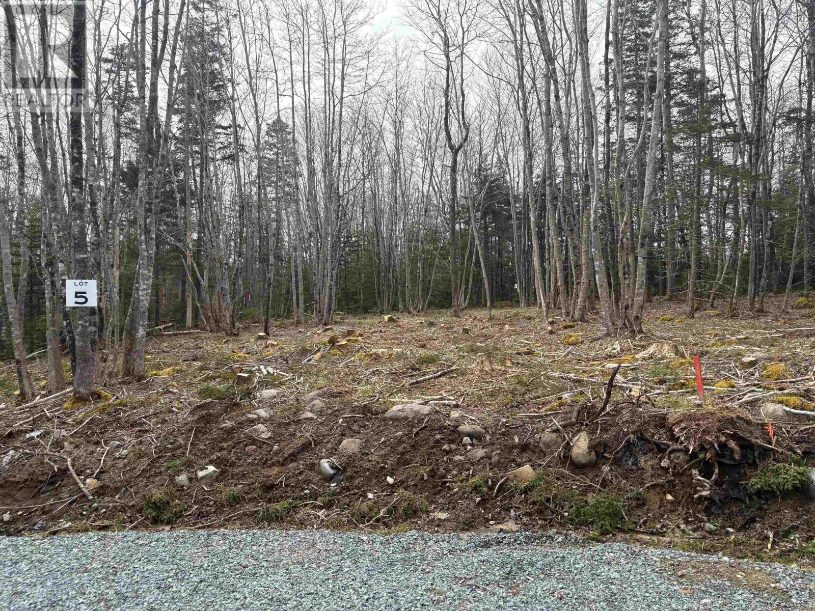 Lot 5 Larry Seldon Lane Property Photo 1