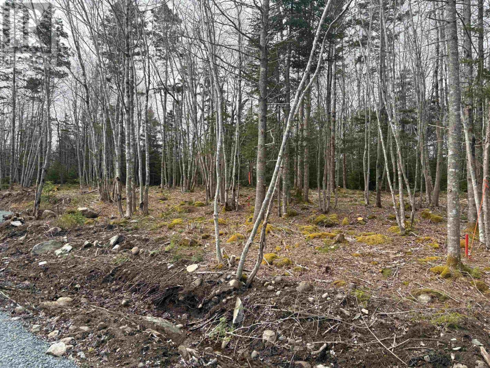 Lot 5 Larry Seldon Lane Property Photo 2