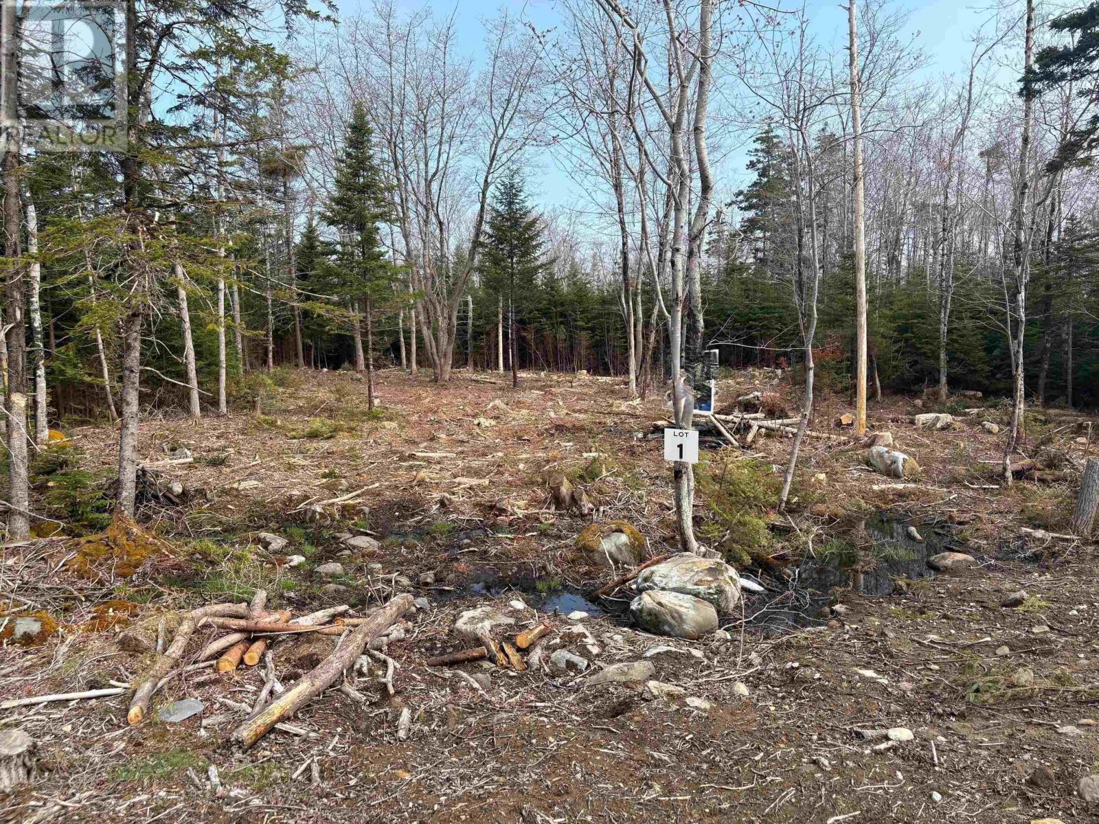 Lot 1 Larry Seldon Lane Property Photo 1