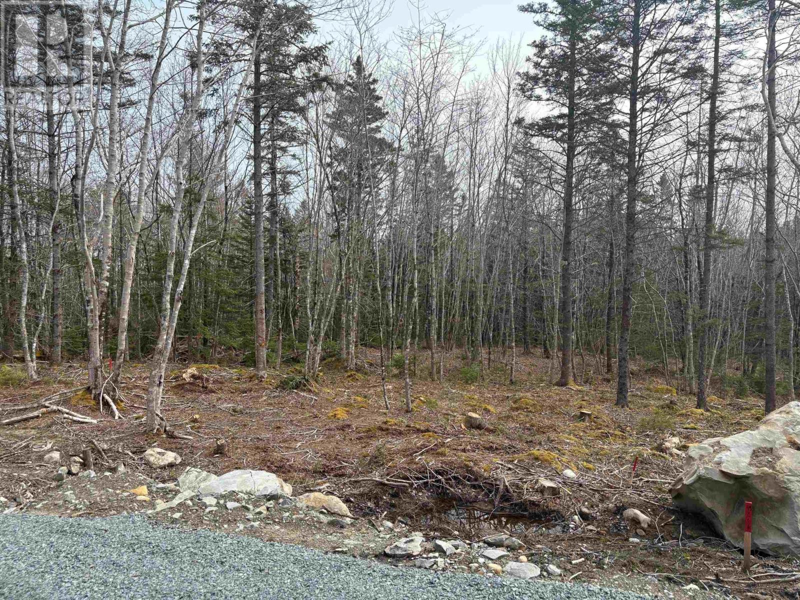 Lot 4 Larry Seldon Lane Property Photo 1