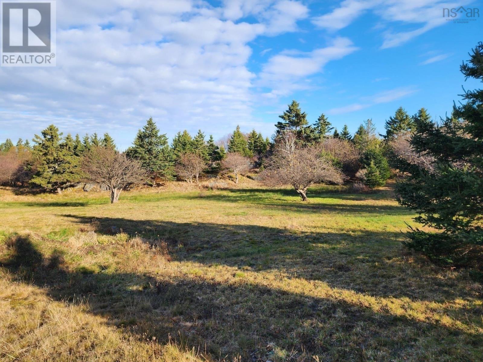157 The Point Road Property Photo 10