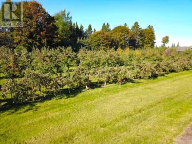 795 Canada Road Property Photo 48