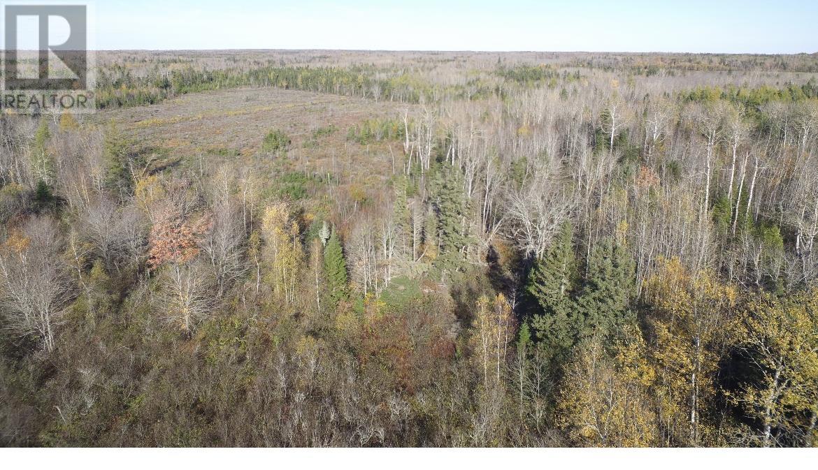 Centerline Road Property Photo 3