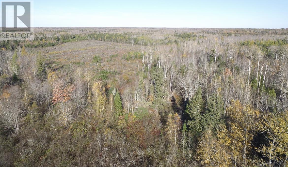 Centerline Road Property Photo 5