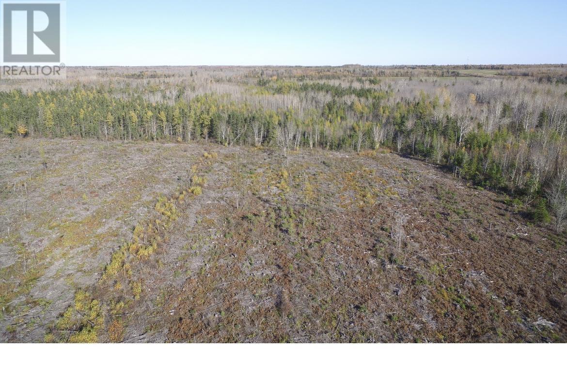 Centerline Road Property Photo 6