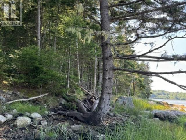 Lot Indian Point Road Property Photo 10