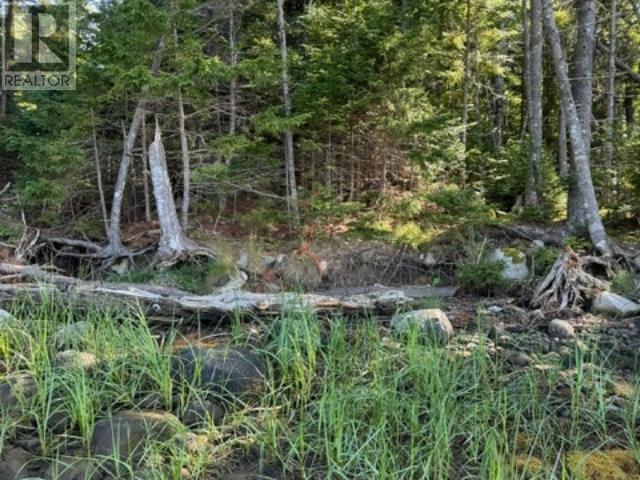 Lot Indian Point Road Property Photo 11