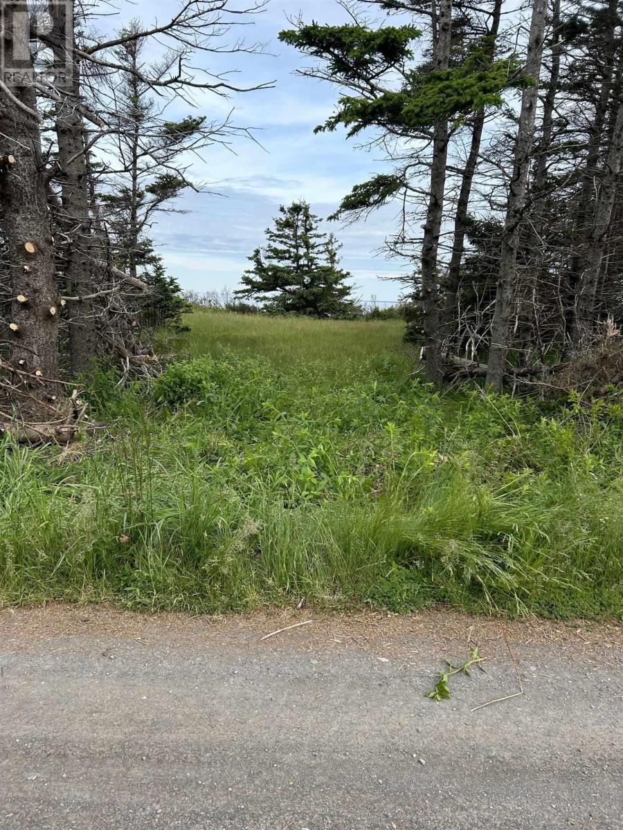 Lot Roys Island Property Photo 4