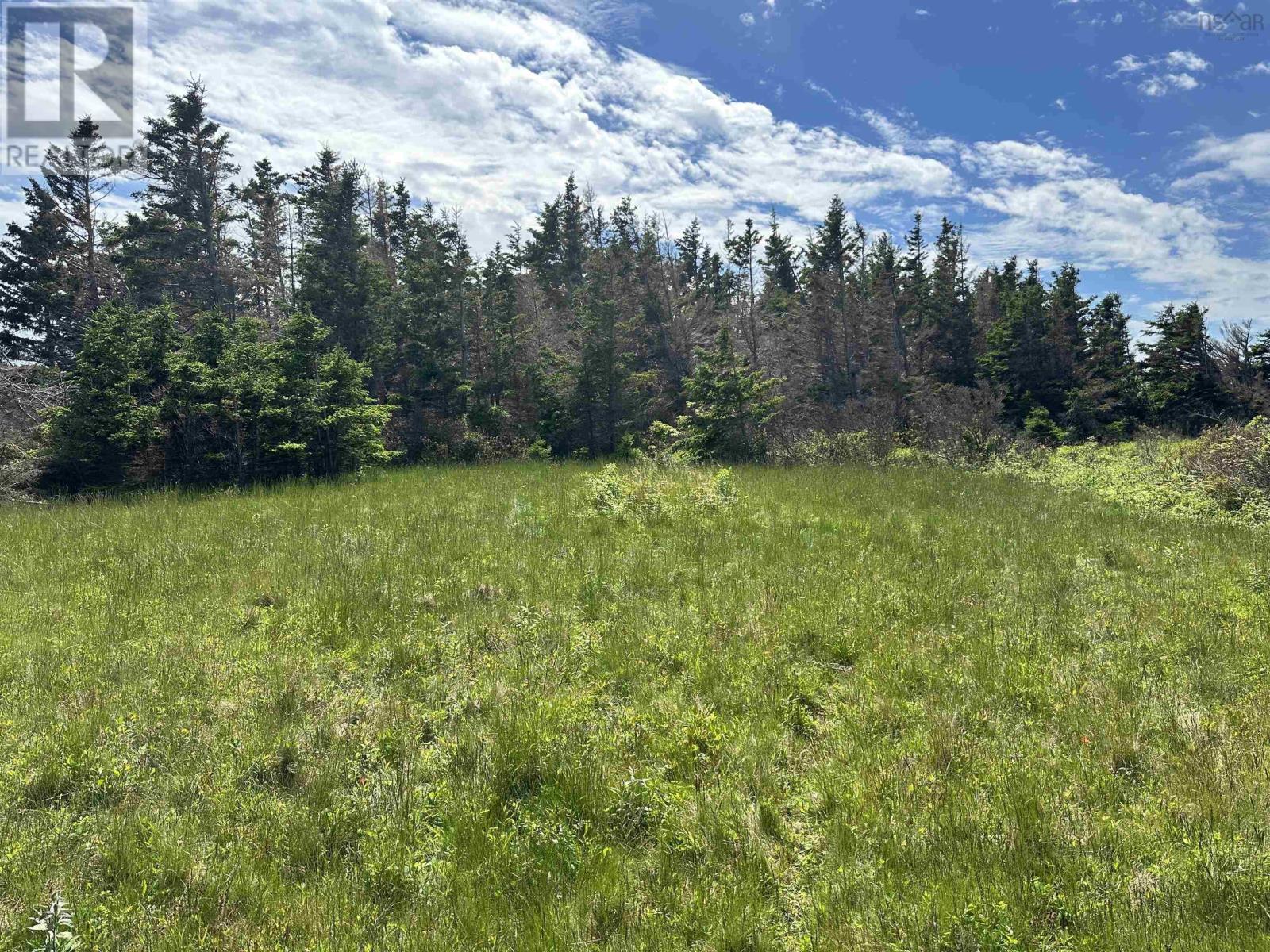 Lot Roys Island Property Photo 8