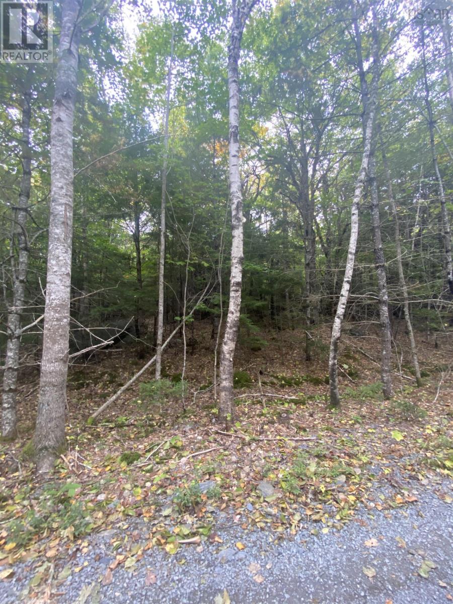 Lot 56 Ponhook View Drive Property Photo 8