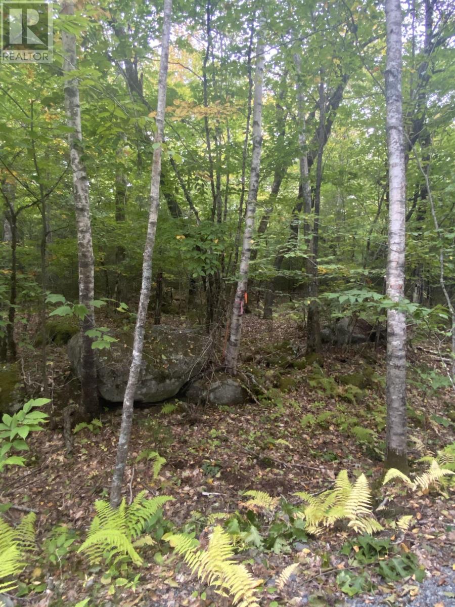 Lot 56 Ponhook View Drive Property Photo 9