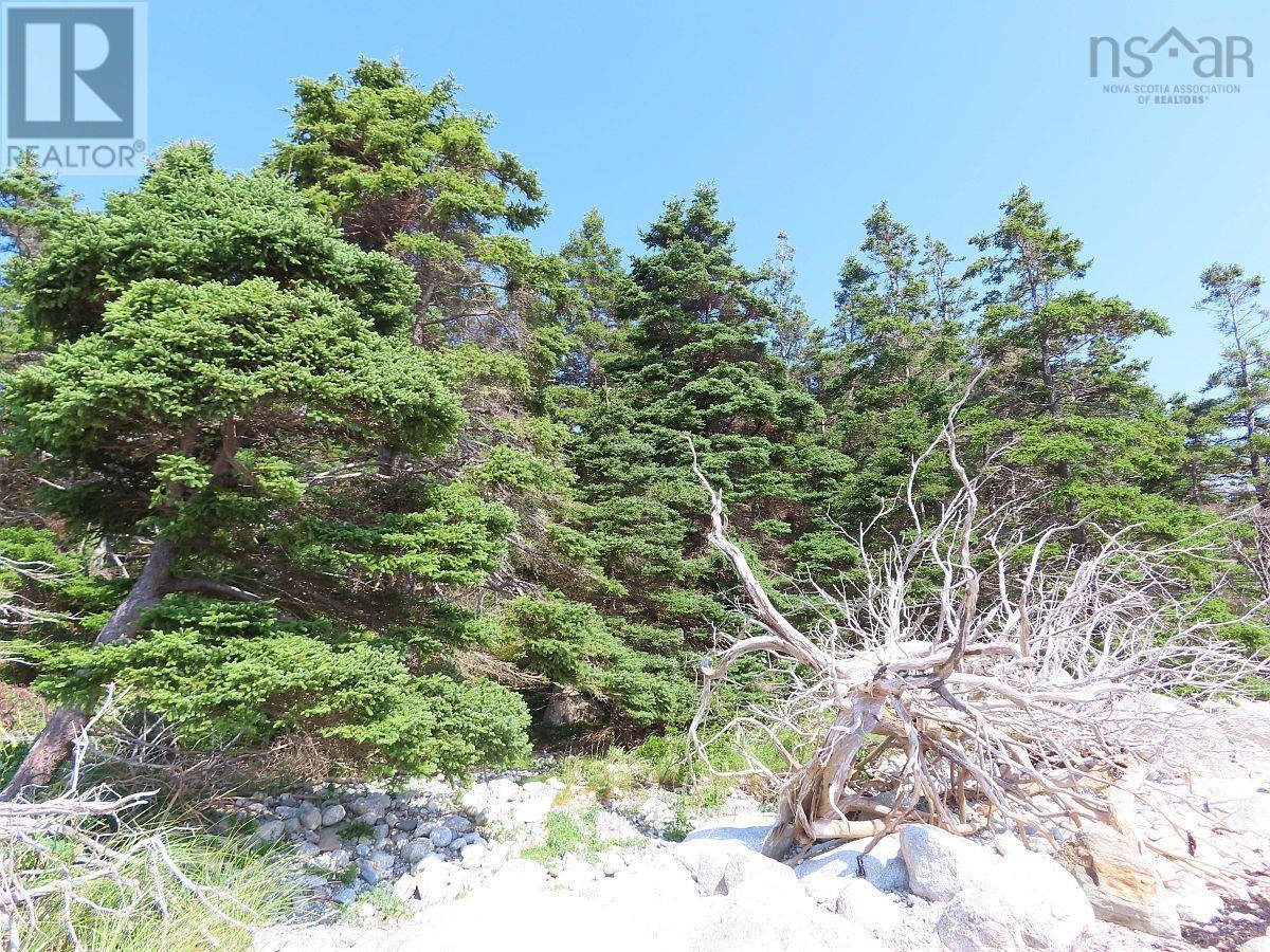 Lot 6 316 Hwy (grovers Point) Property Photo 14