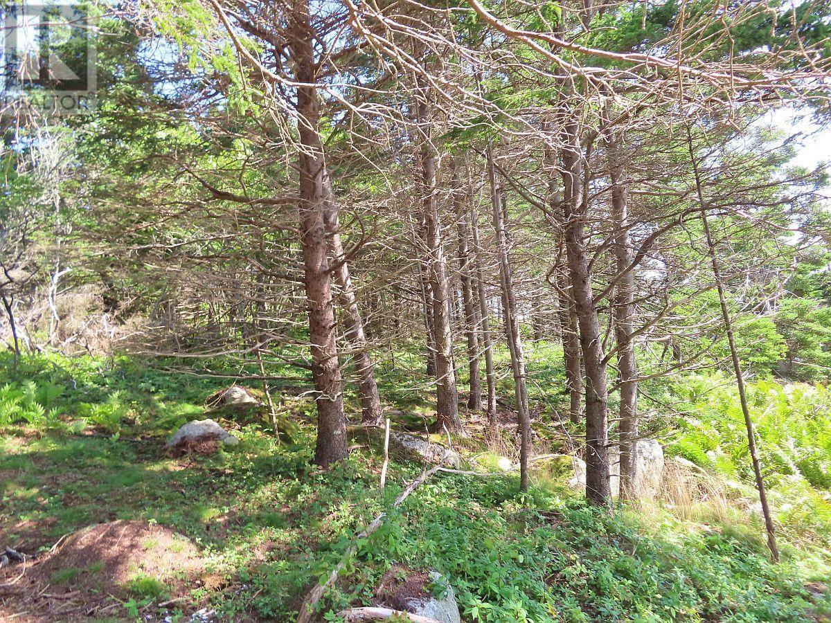 Lot 6 316 Hwy (grovers Point) Property Photo 18