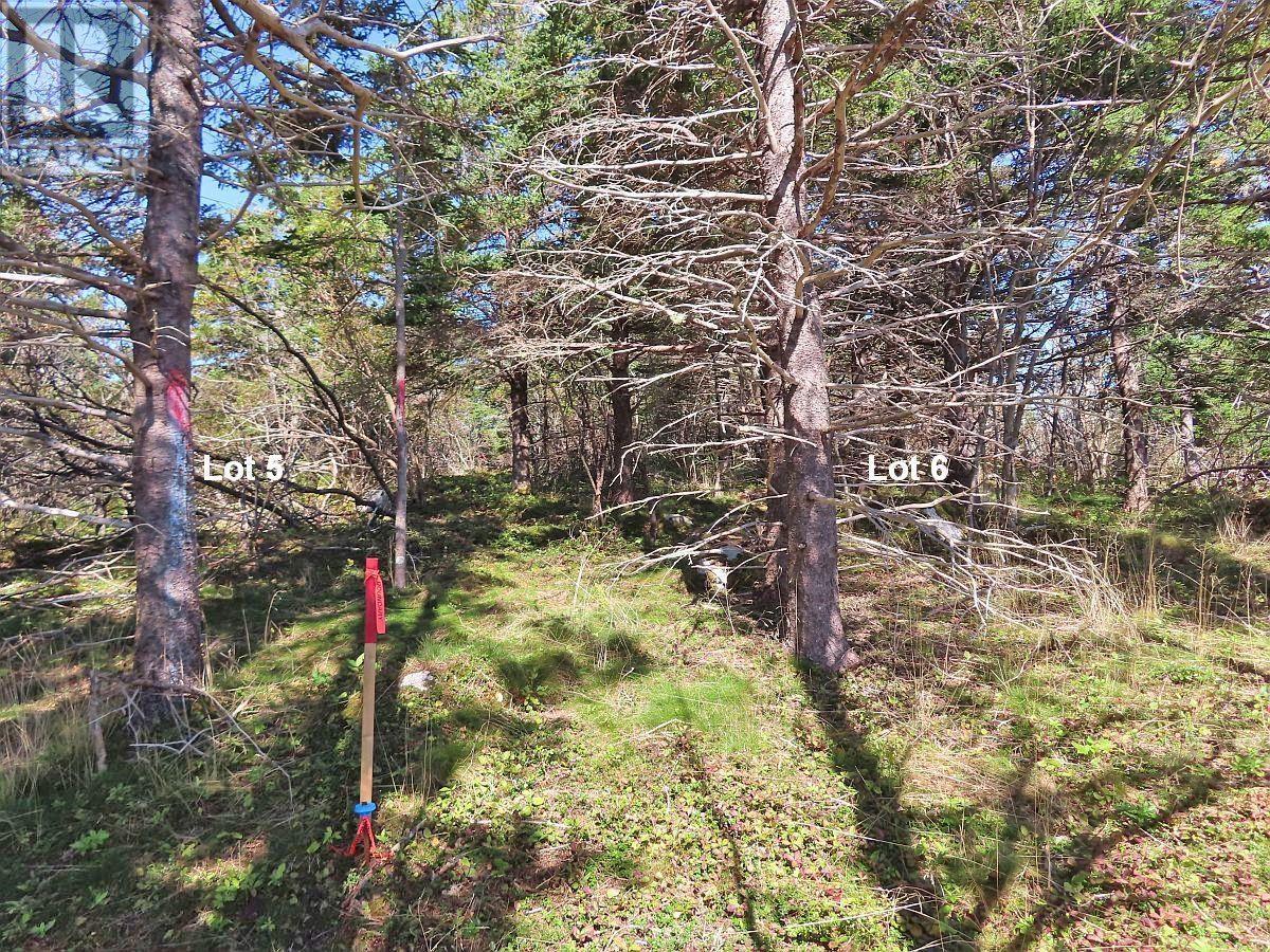 Lot 6 316 Hwy (grovers Point) Property Photo 20