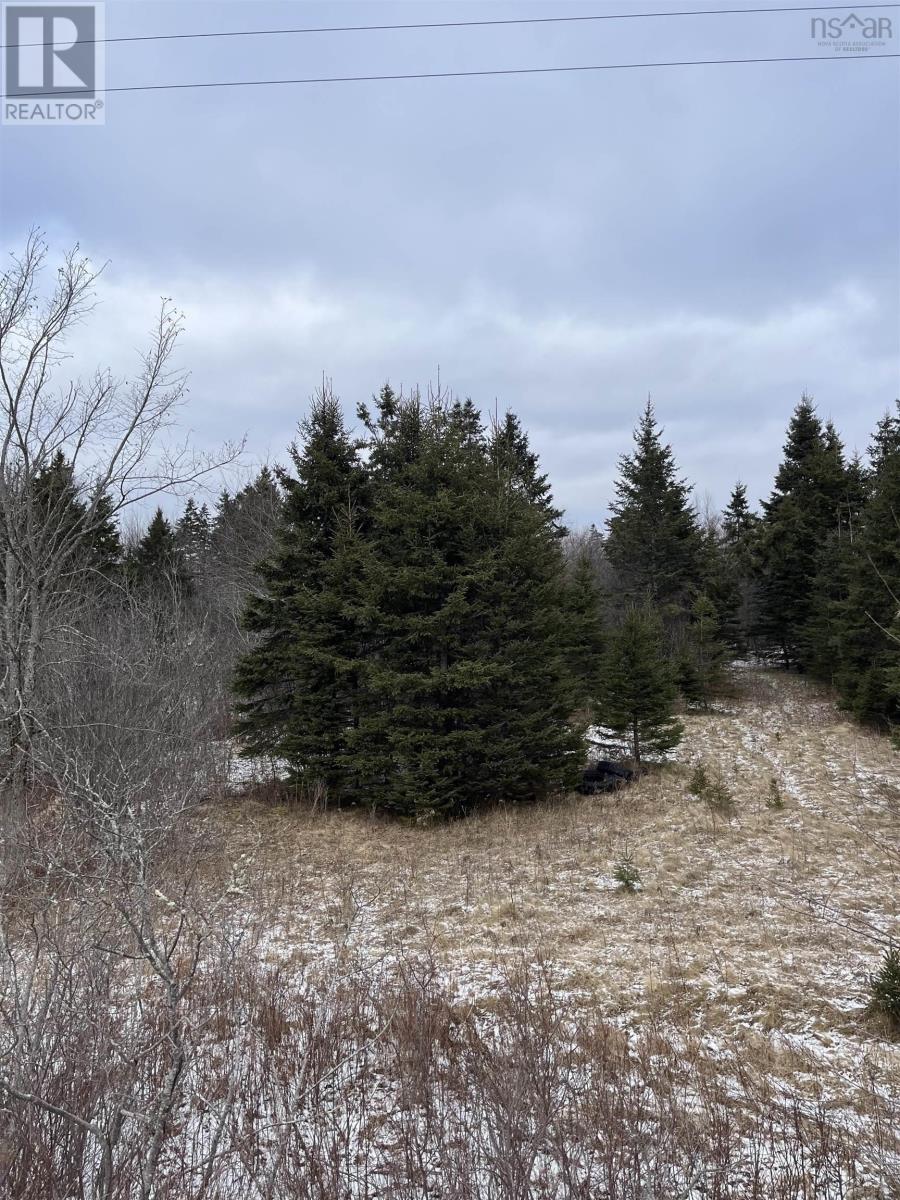 12524 Highway 224 Property Photo 8