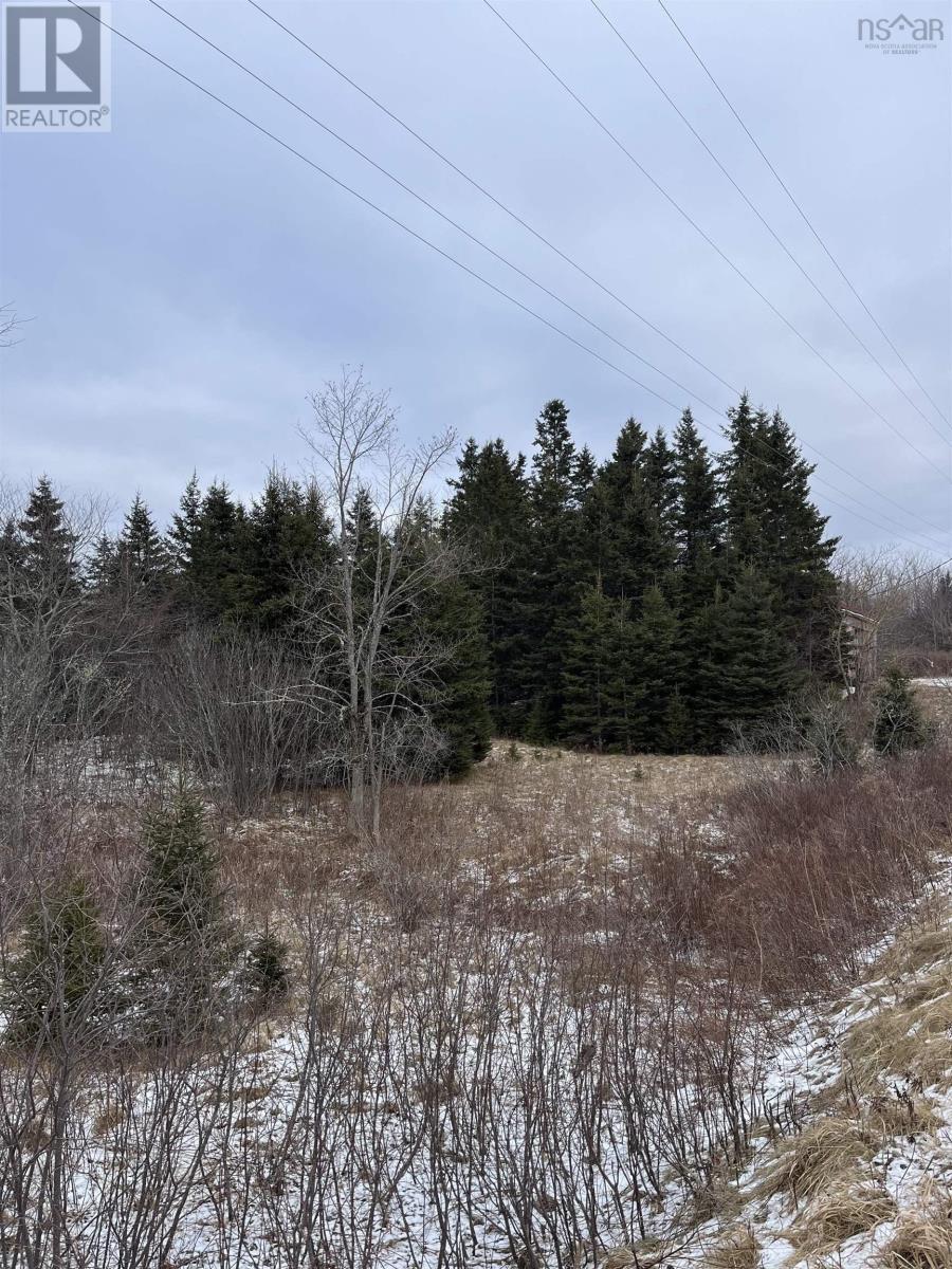 12524 Highway 224 Property Photo 9