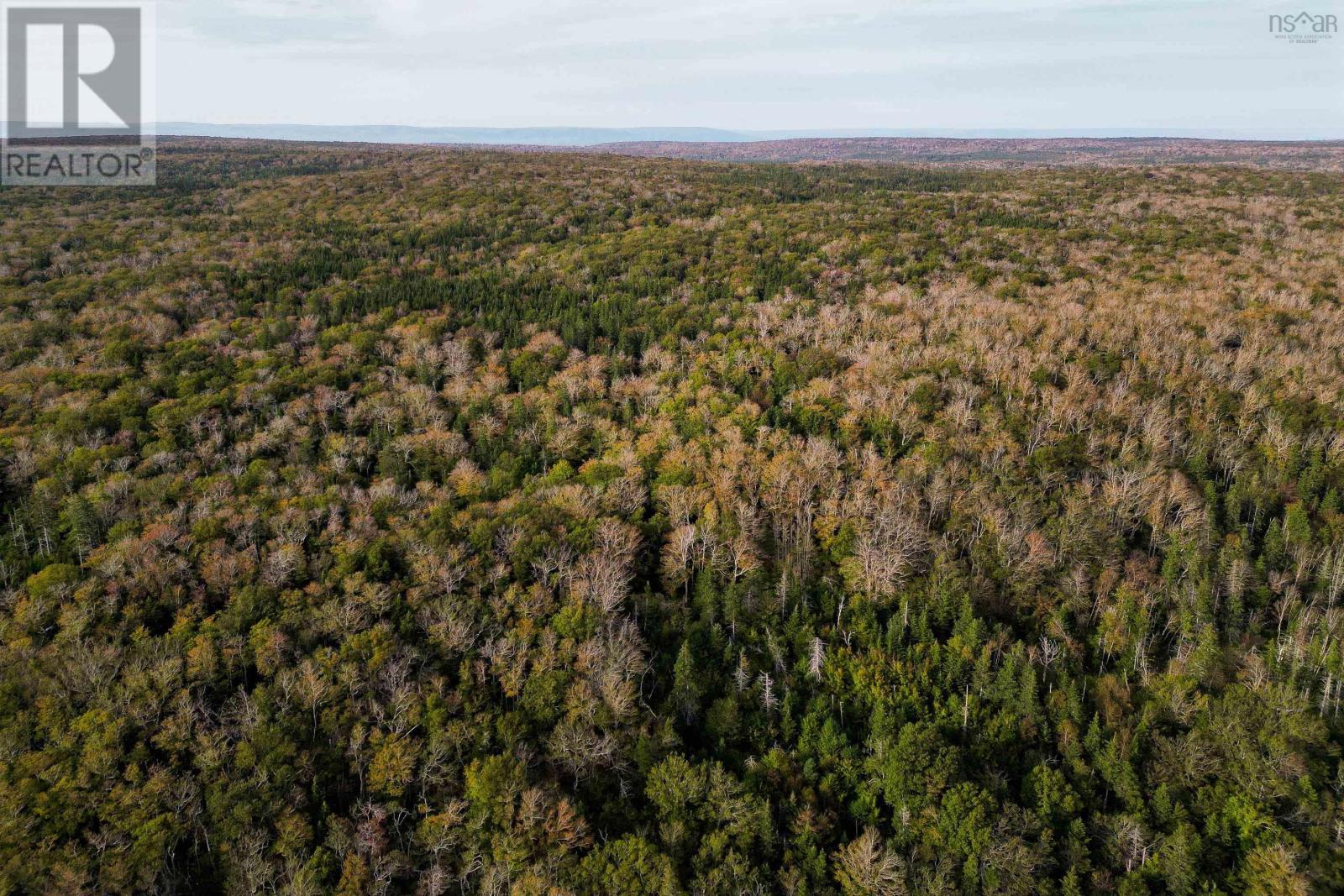 31.45 Acre Marble Mountain Road Property Photo 9