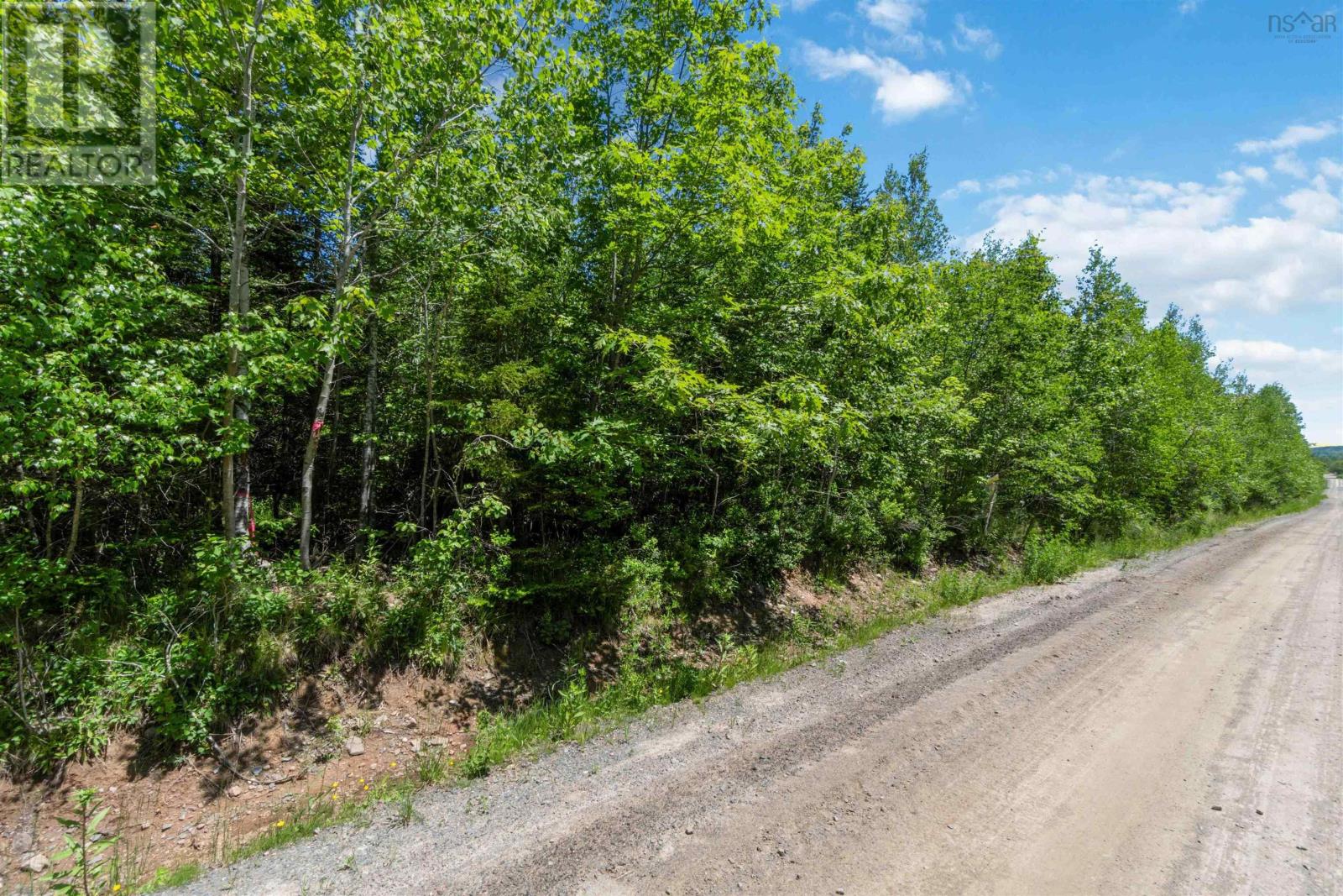 Lot 14 Old Renfrew Road Property Photo 3