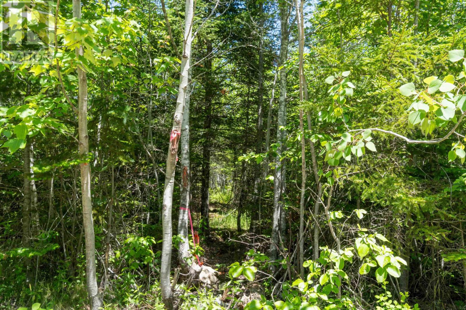 Lot 14 Old Renfrew Road Property Photo 4