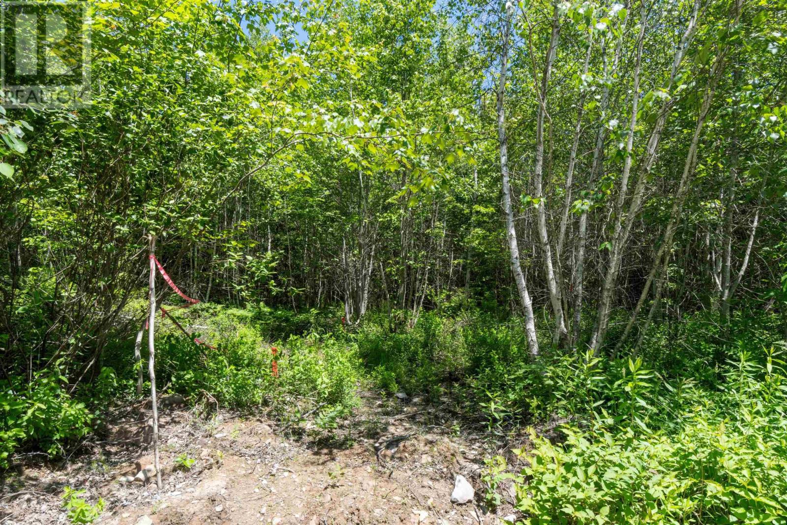 Lot 14 Old Renfrew Road Property Photo 5