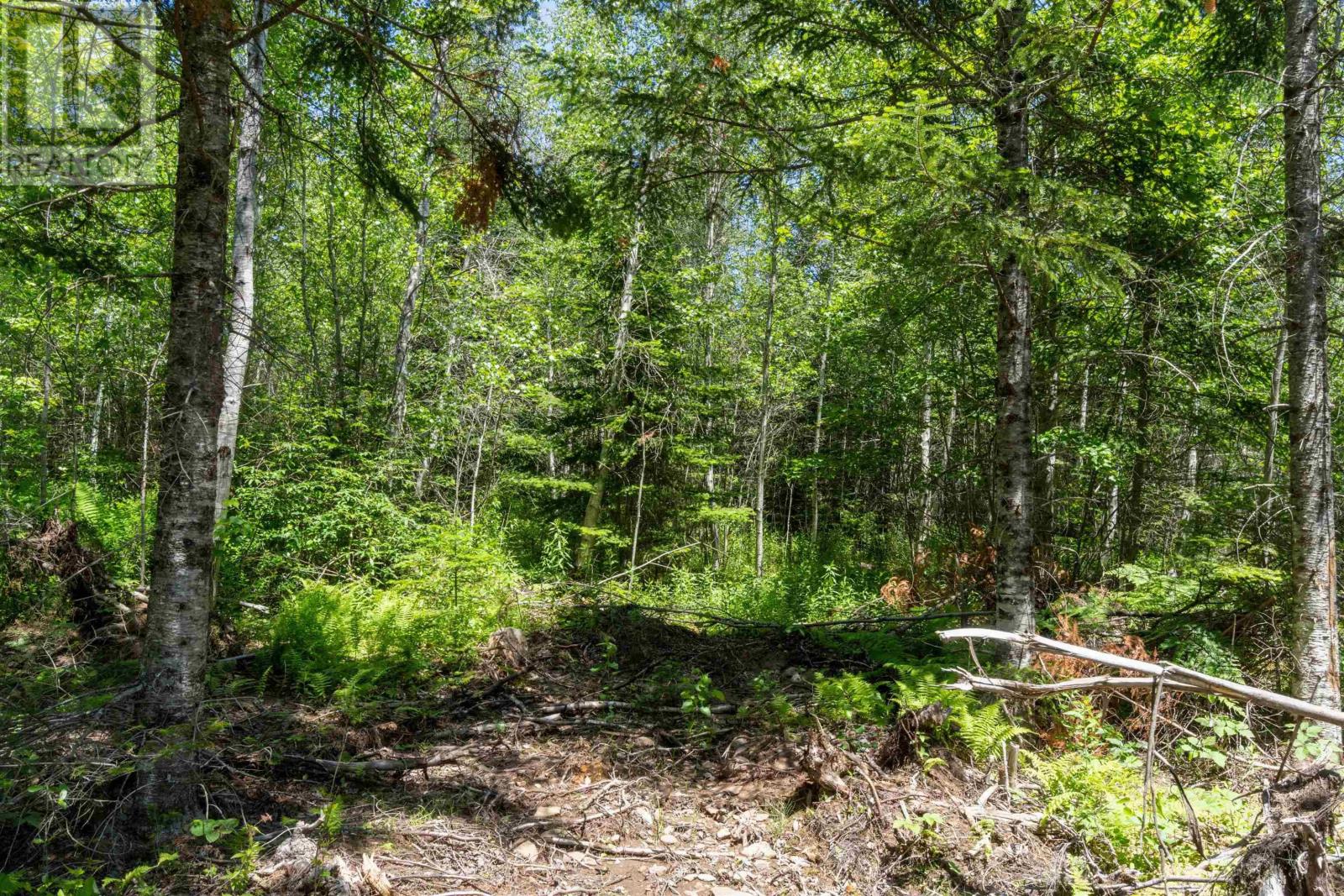 Lot 14 Old Renfrew Road Property Photo 9