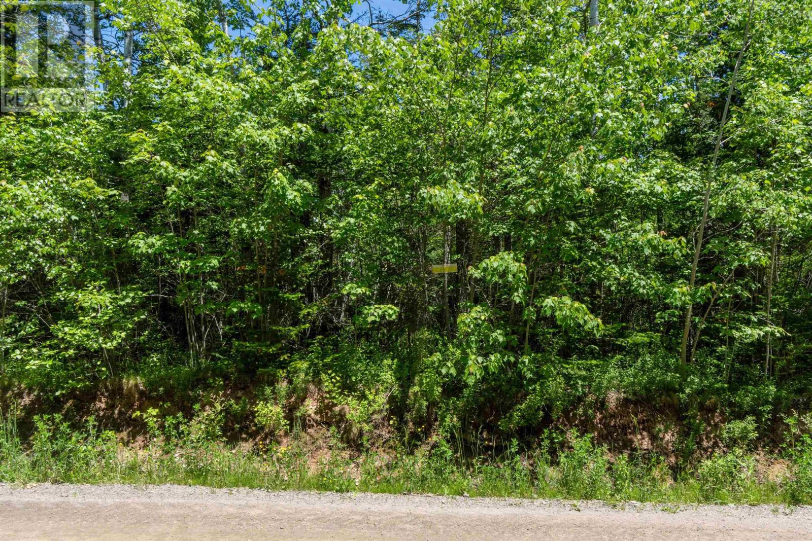 Lot 14 Old Renfrew Road Property Photo 10
