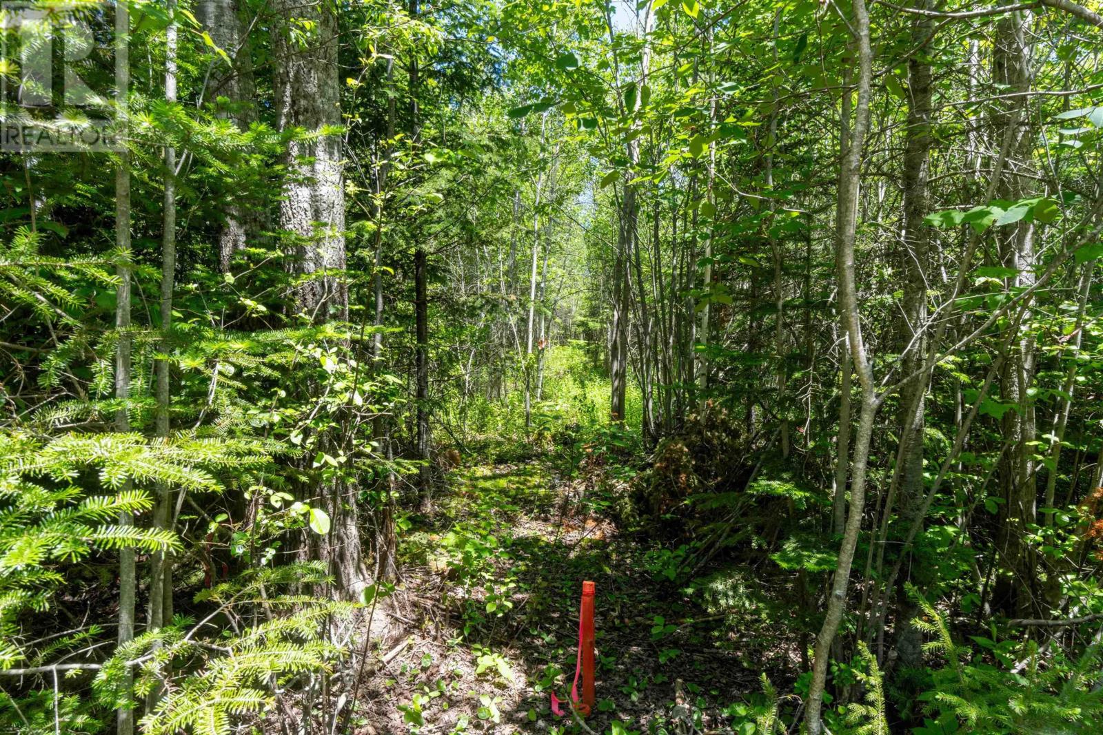Lot 14 Old Renfrew Road Property Photo 12