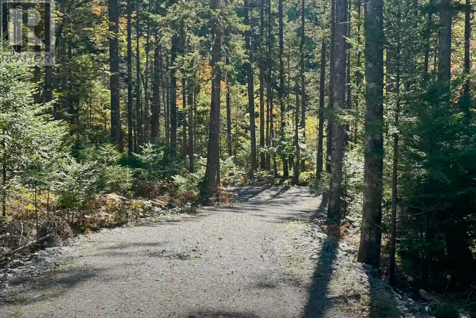 69 Meek Arm Trail Property Photo 5