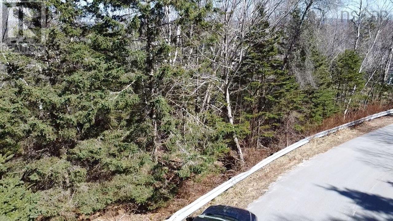 Lot 26 Cedar Street Property Photo 9