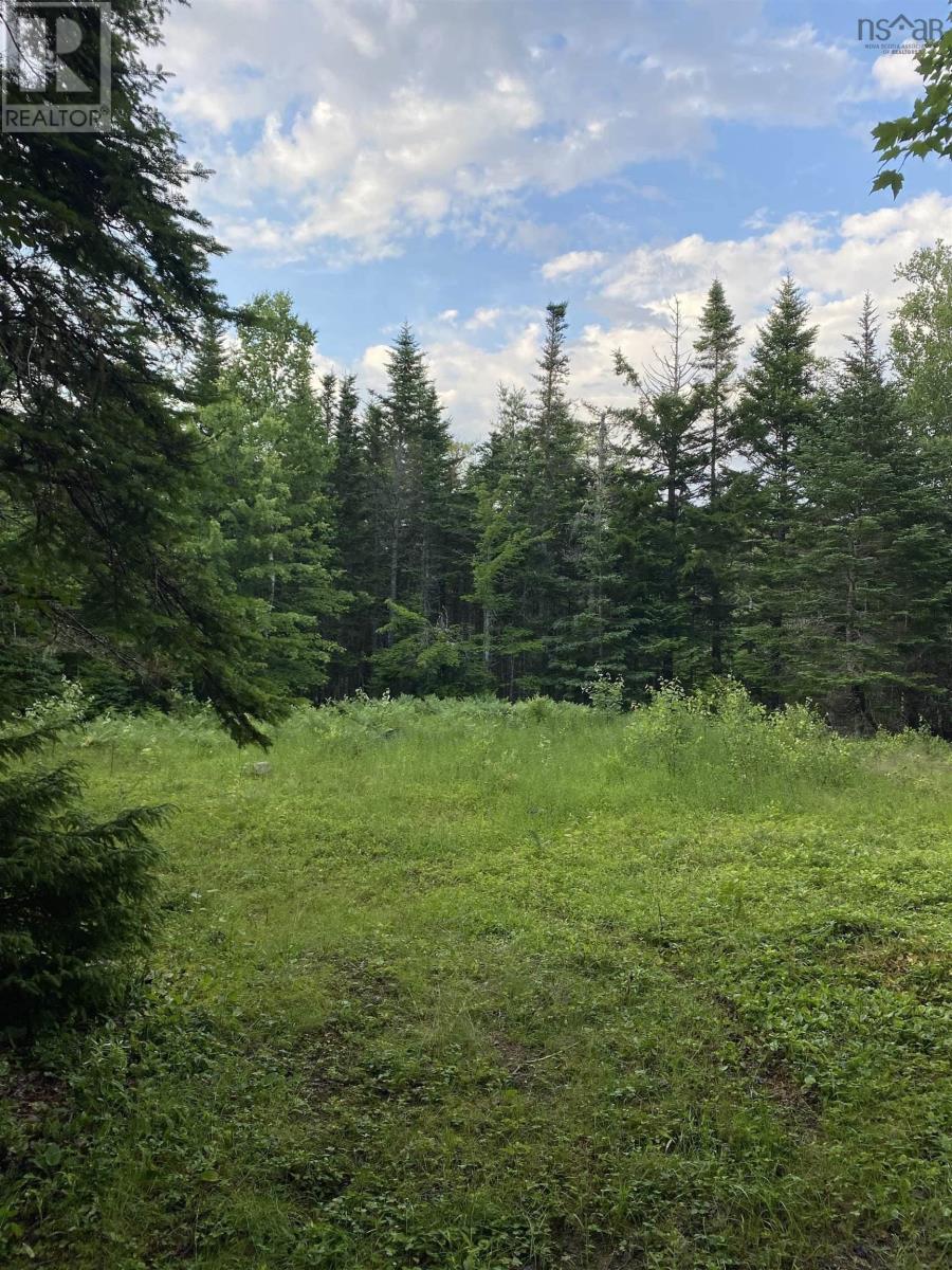 Lot 9 Pigott Lake Road Property Photo 5
