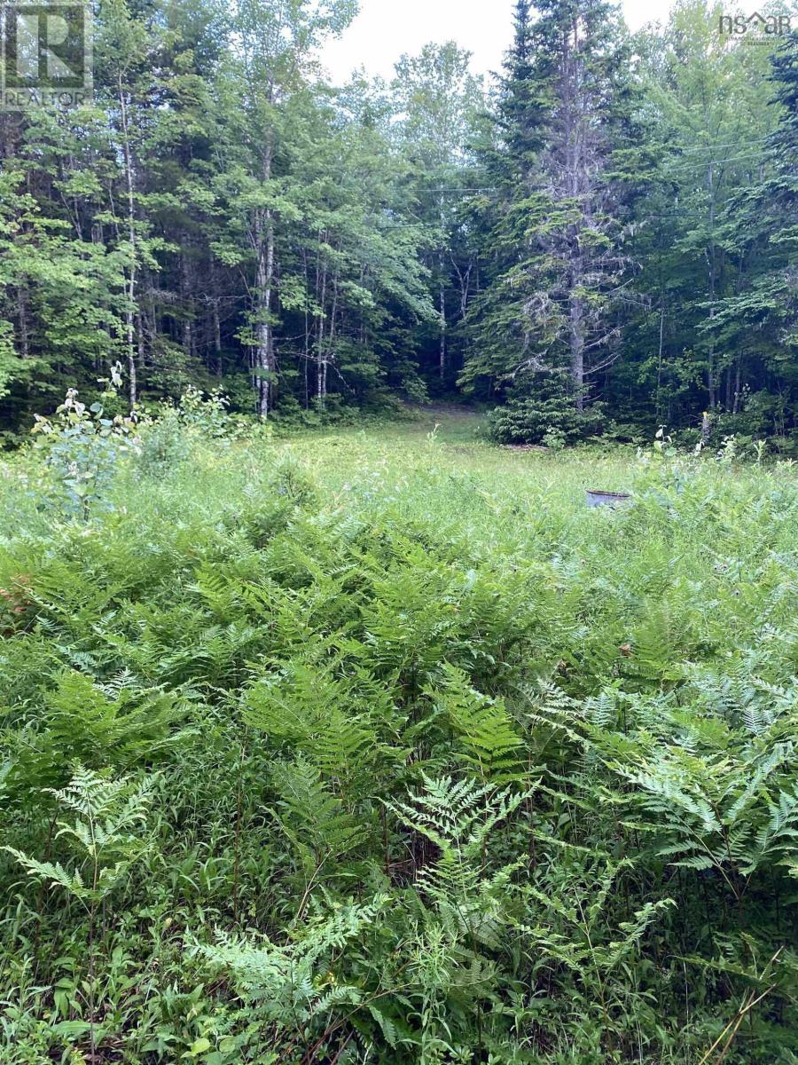 Lot 9 Pigott Lake Road Property Photo 6