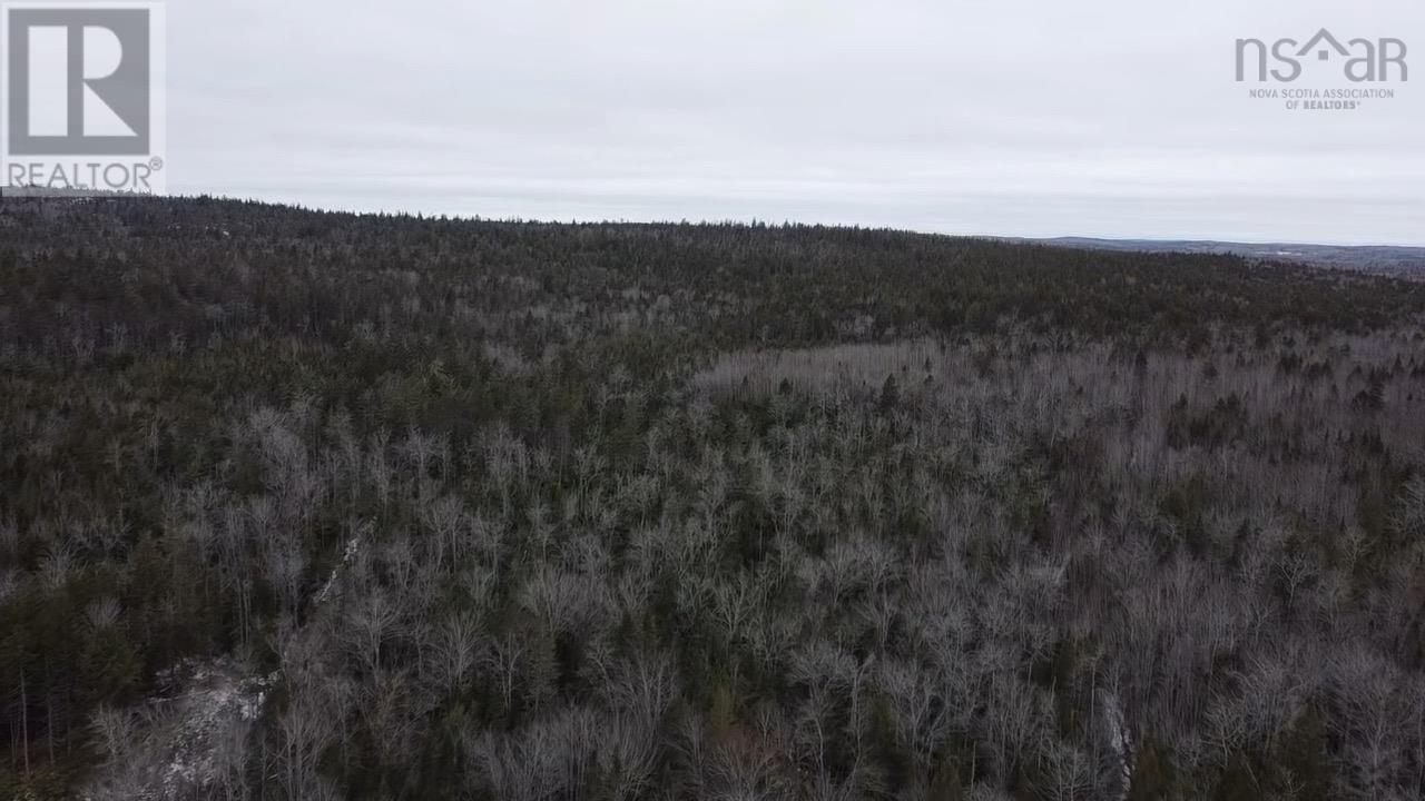 Lot Fletchers Lake Property Photo 5