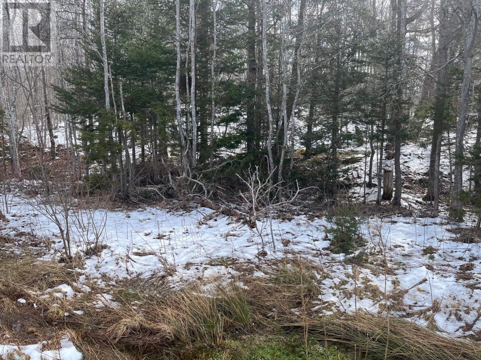 Kempt Head Road Property Photo 3