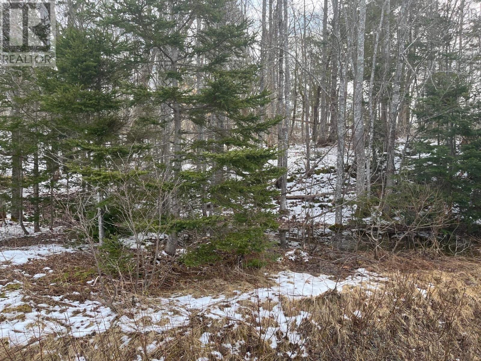 Kempt Head Road Property Photo 4