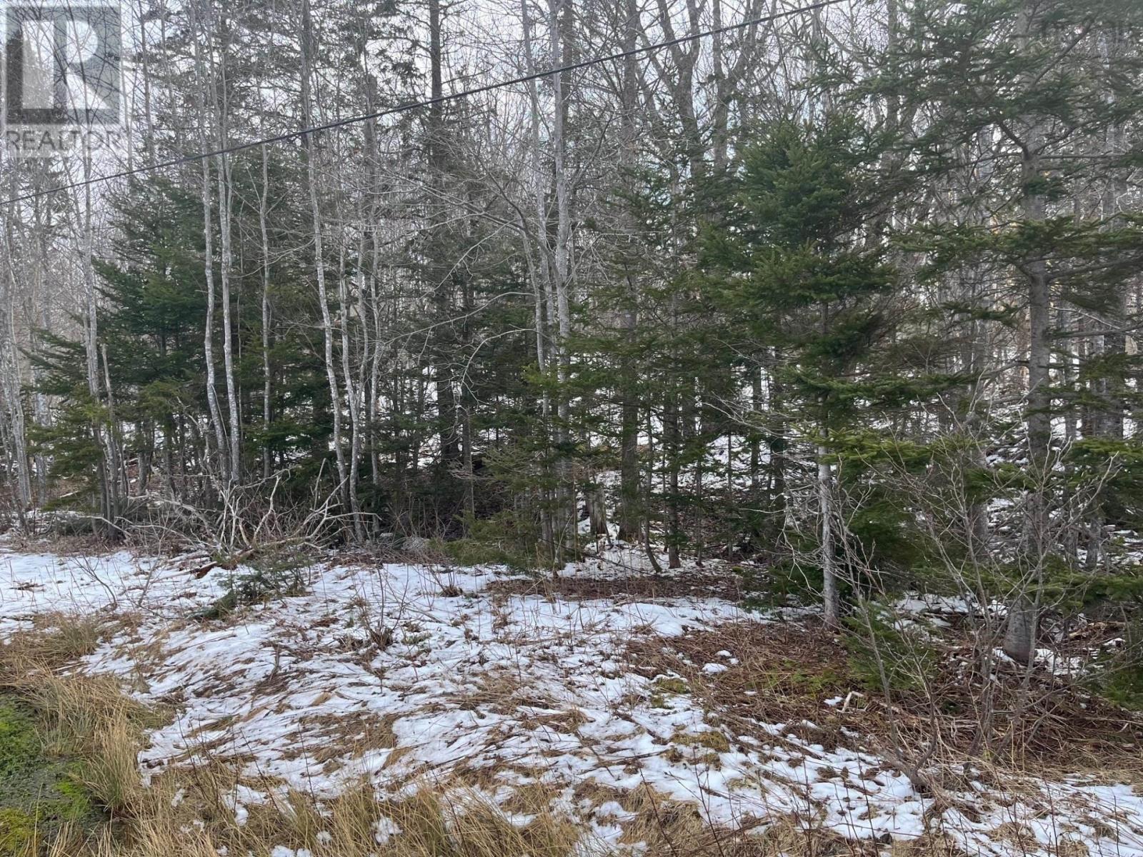Kempt Head Road Property Photo 5