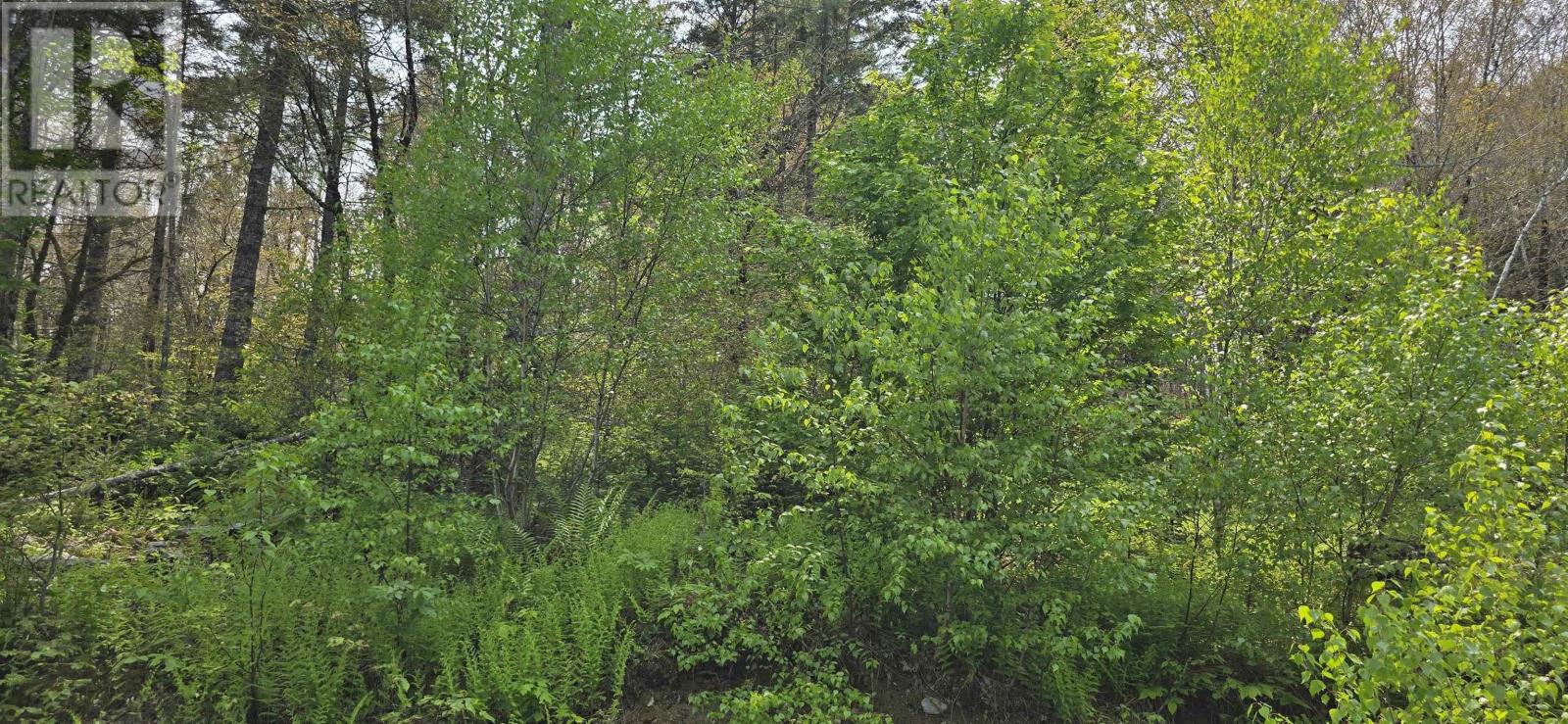 Lot 4 Nathan Croft Road, Camperdown Meadows Property Photo 9