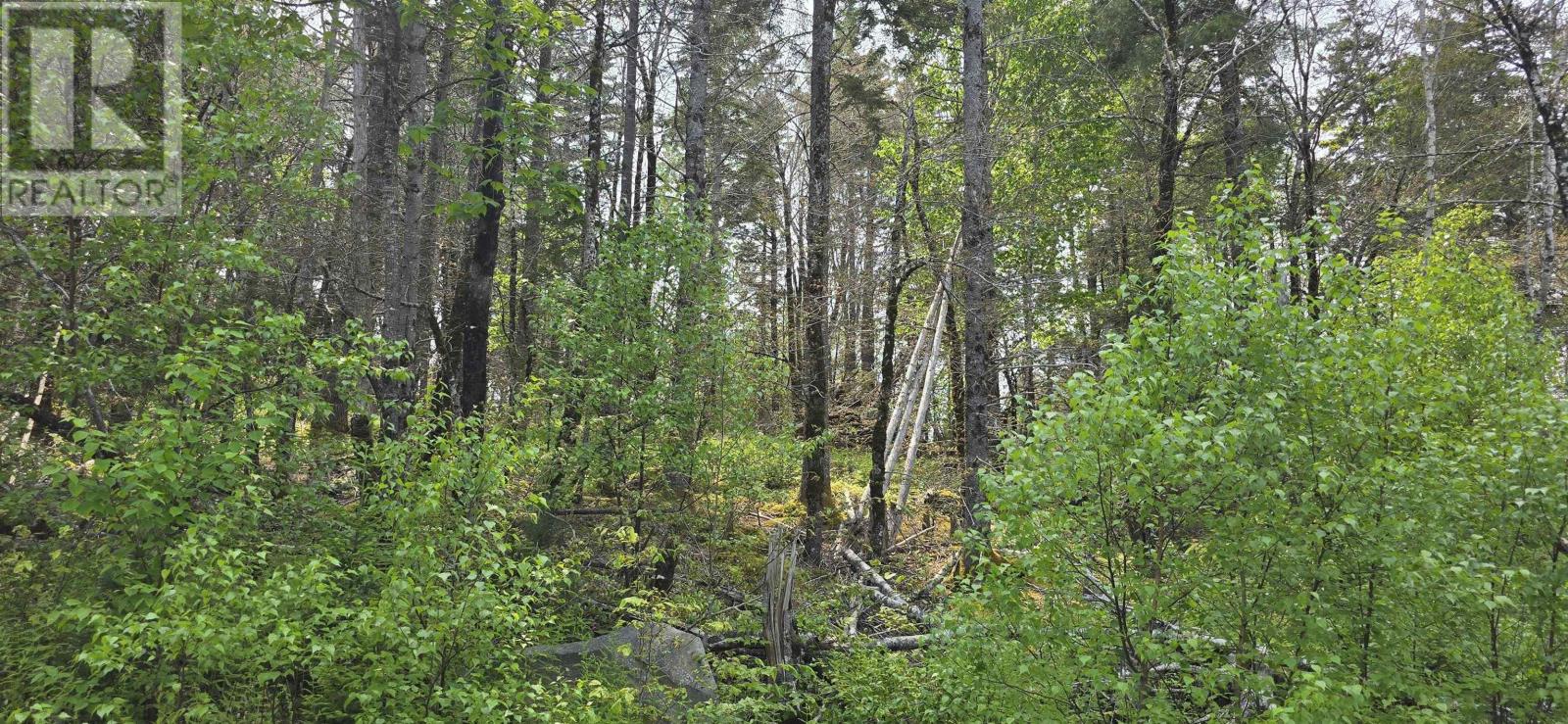 Lot 2 Nathan Croft Road, Camperdown Meadows Property Photo 10