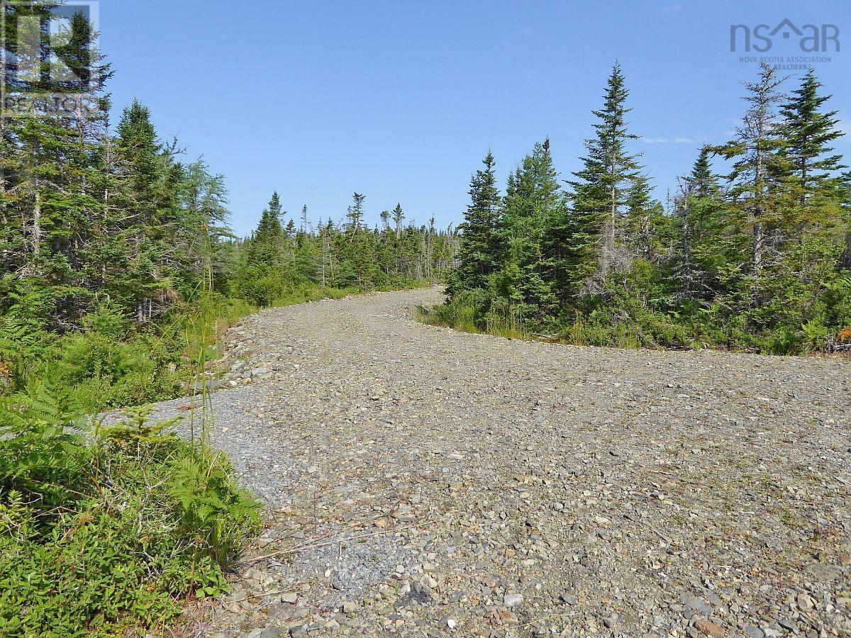 Lot 46 Fourchu Road Property Photo 8