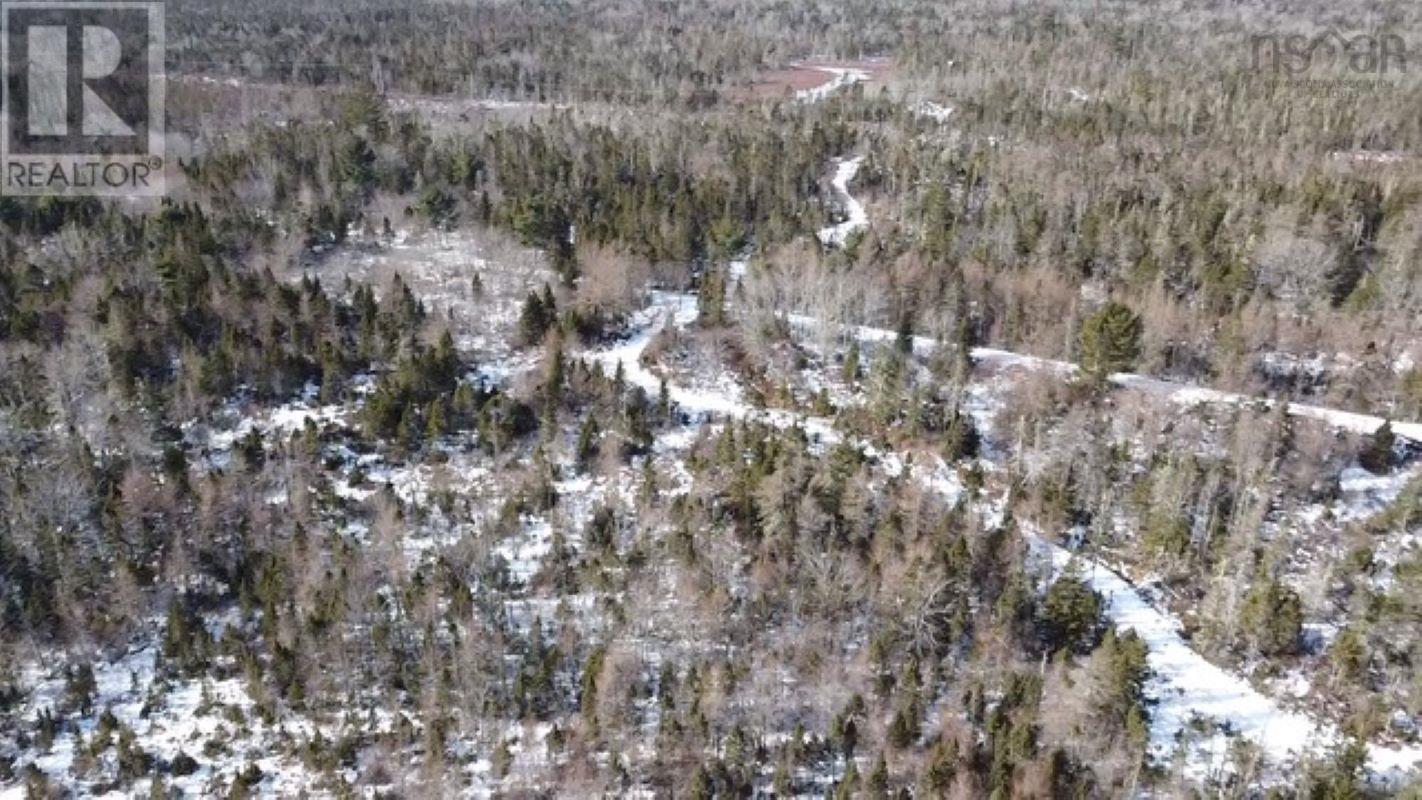Lots Highway 3 Property Photo 6