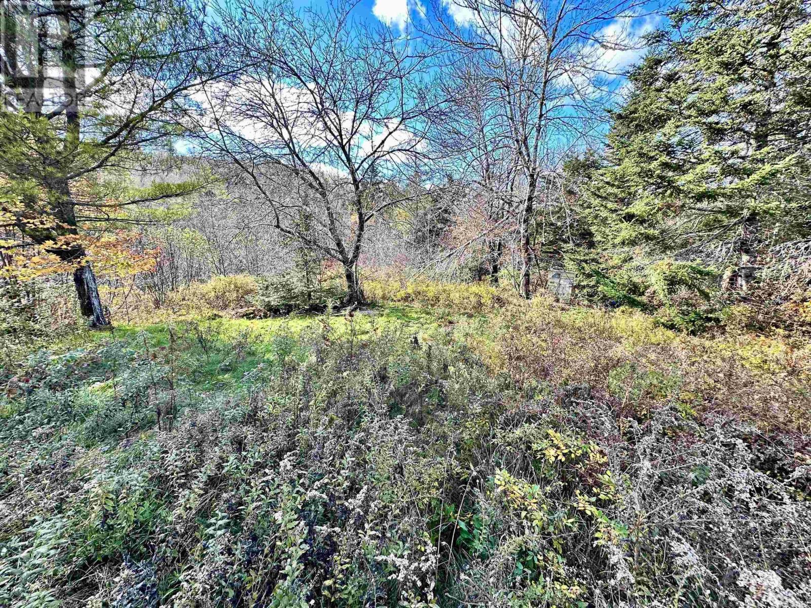 409 Highway 224 Property Photo 13