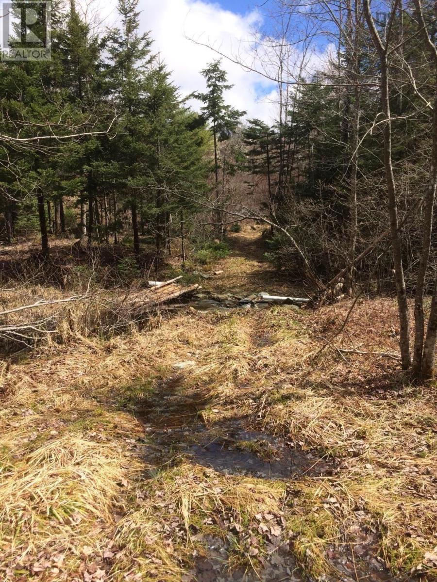 409 Highway 224 Property Photo 19